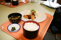 お昼ごはん.JPG