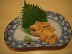 JASTRO2008札幌取材4.JPG