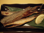 JASTRO2008札幌取材5.JPG